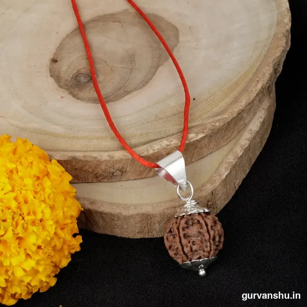6_Mukhi_Rudraksha_Pendant_With_Thread